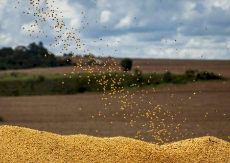 Plantio de soja avan&ccedil;a para 61,6% da &aacute;rea prevista em Mato Grosso do Sul