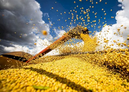 Compras de soja da China ficam abaixo do previsto e colocam em risco acordo com EUA