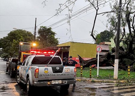Rajada de vento derruba árvores e destelha casas em Dourados