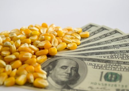 Preocupação com a safrinha e La Niña na Argentina devem elevar preço do milho