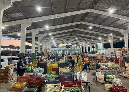 É agricultor? Saiba como vender na Ceasa de Mato Grosso do Sul