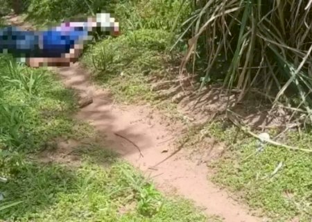 Corpo de mulher de 75 anos é encontrado degolado