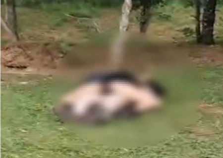 Momento íntimo em parque revolta famílias e Guarda Municipal é chamada (vídeo)