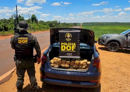 Polícia apreende 256 kg de maconha em HB20 e prende homem em Dourados