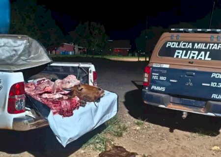 Funcionário é preso por furtar gado e vender em outra fazenda