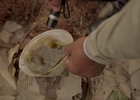 Mato Grosso do Sul registra dois casos confirmados de dengue