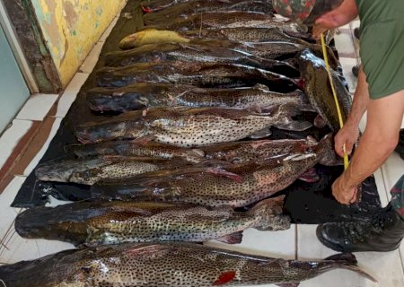 Operação Piracema: força-tarefa prende cinco pessoas e apreende 300 kg de pescado ilegal