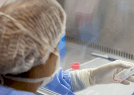 Anvisa autoriza teste de polilaminina em pacientes com lesão medular