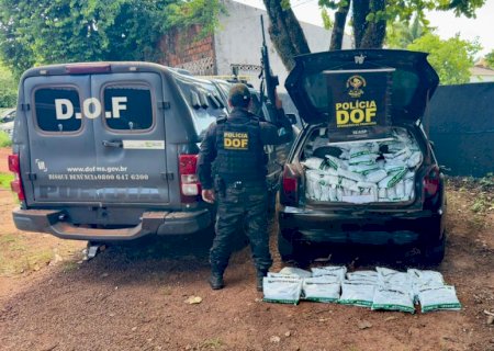 Vídeo - DOF apreende 700 quilos de agrotóxicos no Assentamento Itamarati