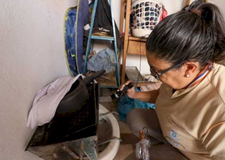 Boletim Epidemiológico: MS registra 23 casos confirmados de dengue