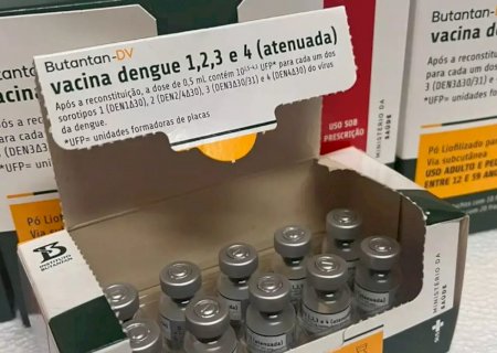 Municípios começam a receber vacina contra a dengue