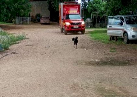 Homem morre ap&oacute;s choque el&eacute;trico &agrave;s margens do Rio Miranda