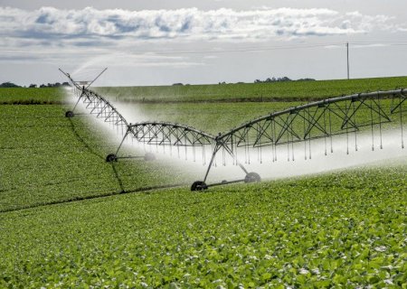 Irrigação aumenta resiliência produtiva em cenário de seca