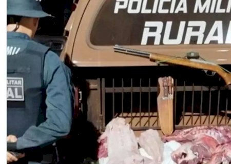 Homem é preso com carne de jacaré e javali, arma e munições na zona rural de Caarapó
