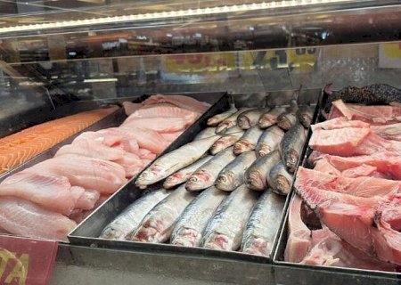 Bacalhau lidera alta e tem variação de até 210% nos preços na Semana Santa