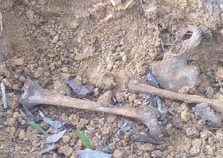 Ossada humana é encontrada em área rural de Caarapó e caso é investigado