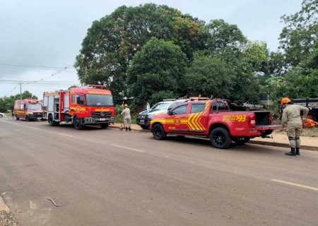 Rapaz é capturado após fugir da polícia e subir em pé de manga em Caarapó