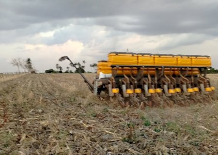 Crédito rural cai 46% em MS e produtor prioriza manter a lavoura
