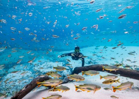 Turismo de MS reforça protagonismo e é destaque nacional