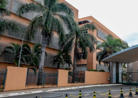 Anvisa atualiza limites de cúrcuma em suplementos alimentares