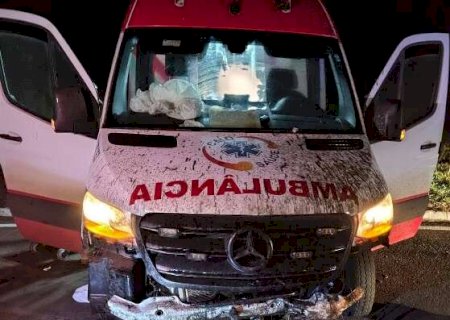 Motorista dorme ao volante e bate ambul&acirc;ncia com gestante intubada