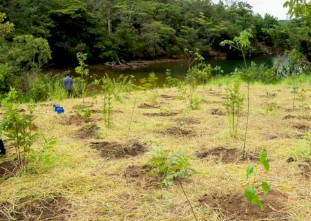 Parque não inclui área destinada a salvar BRB, diz associação