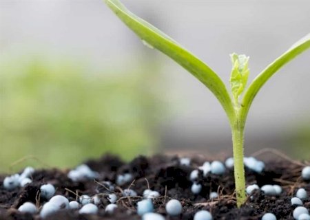 Dependência de fertilizantes expõe agro brasileiro a riscos geopolíticos e reforça urgência da transição verde