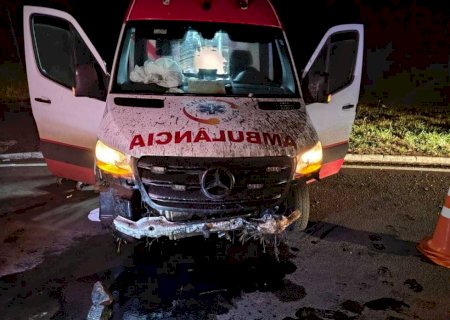 Motorista cochila ao volante e ambulância com gestante entubada sofre acidente na BR-262
