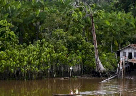 Projeto leva tratamento gratuito a doenças negligenciadas no Amazonas