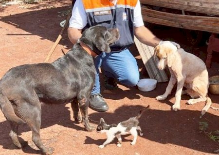 Prefeitura de Itaporã autoriza repasse para associação de proteção animal