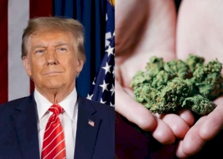 EUA flexibilizam regras e reclassificam maconha como droga menos perigosa