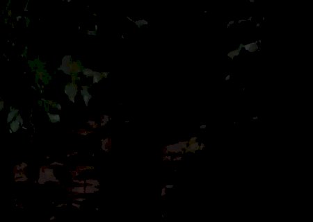 Vídeo - Defesa Civil de Itaporã captura jiboia e reforça orientação à população