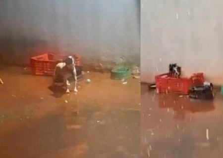 Preso ao relento, cachorro preocupa vizinhos e mobiliza denúncias no Parque do Sol