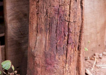 Idoso é agredido com paulada na cabeça enquanto tentava enforcar mulher e morre em Campo Grande