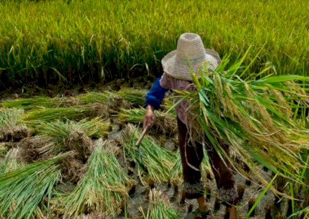 Garantia de direitos trabalhistas no campo ainda enfrenta desafios