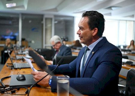 Comissão aprova criação do Auxílio Recomeço, para vítimas de violência doméstica