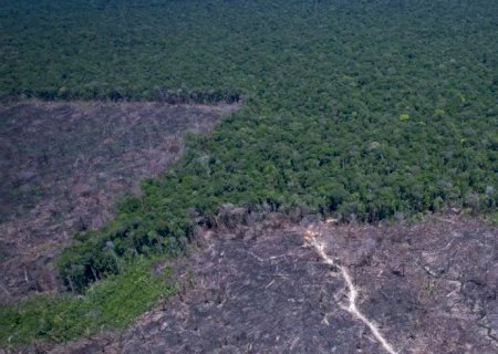 Países discutem solução para combustível fóssil e desmatamento ilegal