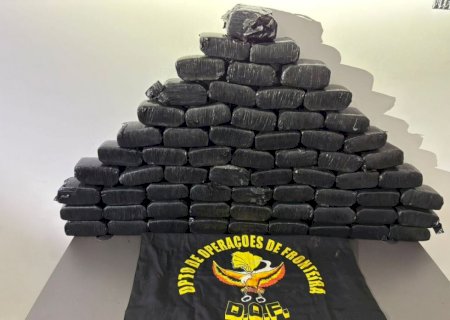 Skunk avaliado em R$ 800 mil é encontrado em pneus de veículo e casal acaba preso