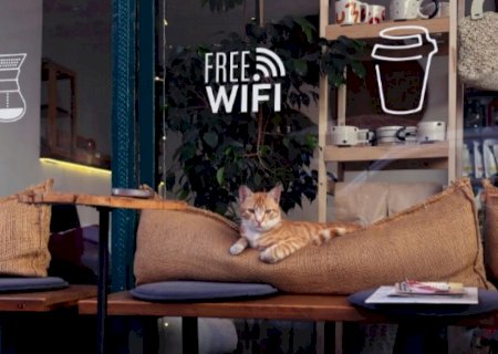 Como navegar com segurança em redes Wi-Fi públicas de Dourados