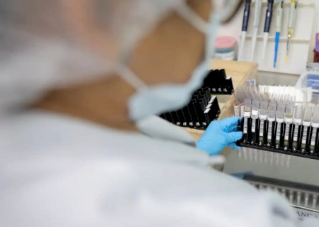 Fiocruz obtém patente para tratamento contra malária resistente