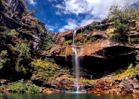 Criança de 8 anos é atacada por onça na Chapada dos Veadeiros