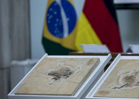 Brasil quer recuperar dinossauros e patrimônios que estão em 14 países