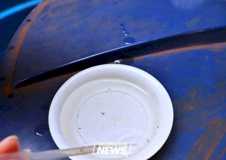 MS soma 17 mortes em decorrência da Chikungunya