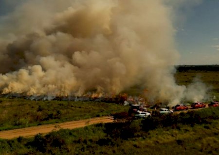 Para conservar e proteger biomas, Governo realiza técnica de queima prescrita em parque estadual