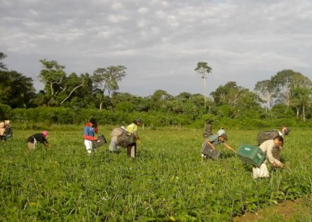 Prêmio para produção acadêmica destaca agricultura familiar