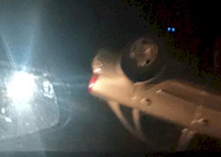 Motorista capota Corsa entre Fátima do Sul e Dourados na BR-376