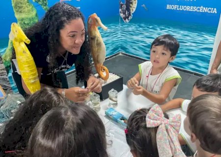 Projeto abre espaço para público conhecer habitat dos cavalos marinhos