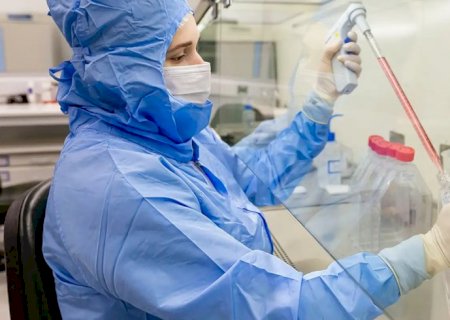 Estudo usa células-tronco contra complicações do transplante de medula