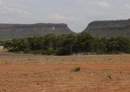 Fragmentos de vegetação nativa cresceram no país 163% em 38 anos