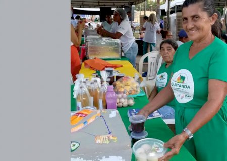 Agricultores familiares aumentam renda em 30% com programa federal 